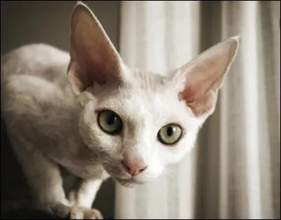 Ton pr&eacute;nom commence par�