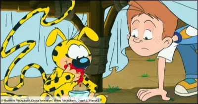 Quel est ce dessin animé ?