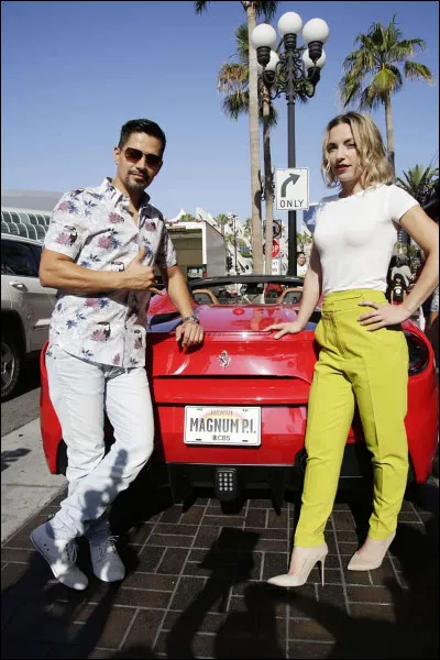 Quelle est cette série ?