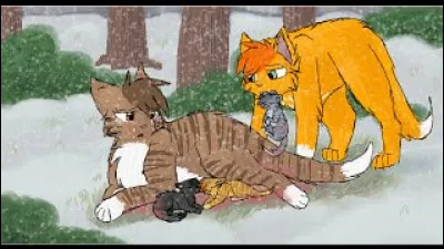 Tu apprends que tes "parents" ne sont pas les tiens, quelle est ta réaction ?