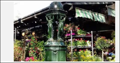 Conçues comme de véritables uvres d'art, une centaine de fontaines Wallace ornent la capitale et continuent d'offrir à tous les Parisiens de l'eau gratuite et potable de mars à novembre. Une belle histoire née de l'initiative de Richard Wallace, philanthrope britannique et parisien d'adoption, qui en 1871 fait don à la ville de Paris de 50 fontaines à boire. 
Pourquoi précisément ?