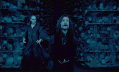 Pourquoi Harry s'est-il finalement rendu au ministère de la magie après avoir eu la vision de Sirius en train de se faire torturer ?