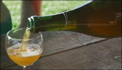 Quel est le nom de la boisson alcoolisée effervescente, similaire au cidre, de couleur jaune pâle à jaune doré, obtenue par fermentation du jus de poire ?