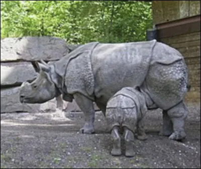 Et pour finir, ton pr&eacute;nom commence par�