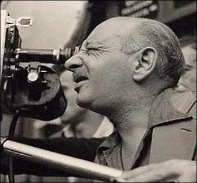 Quel acteur joue Hippolyte Lemoine (benêt d'une trentaine d'années, naïf à l'esprit enfantin) dans le film ''Le Trou normand'', réalisé par Jean Boyer, sorti en 1952 ?