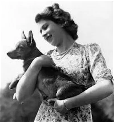 Une question plus compliquée : comment se nomme le chien, de race Corgi Pembroke, qu'on lui offrit pour ses 18 ans ?