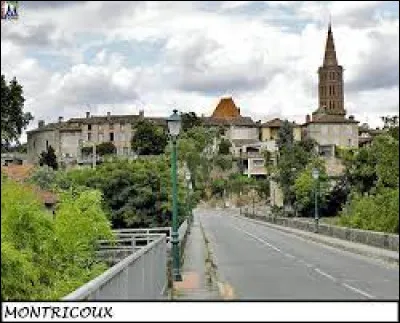 Je vous propose de partir en Occitanie, à la découverte de Montricoux. Commune de l'aire d'attraction Montalbanaise, le long des berges de l'Aveyron, elle se situe dans le département ...