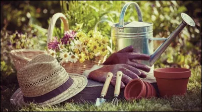 Dans mon temps libre, j'aime ...