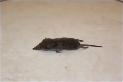 Tu dois maintenant faire ta fiche perso ...