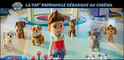 Qui réussit à sauver Ryder à la fin du film ?