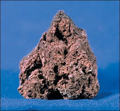 Quel nom porte la partie haute des vasières littorales, souvent recouvertes de prairies ?