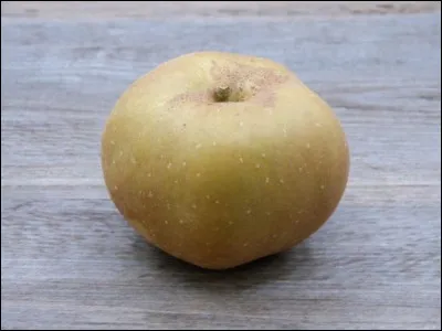 Quel pays a les côtes les plus étendues ?