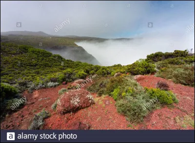 À qui doit-on le titre "La Rivière de notre enfance" ?