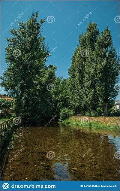 La chanson "L'Amérique" est l'adaption par Joe Dassin du titre "Yellow River" d'un groupe américain.
Quel est le nom de ce groupe ?