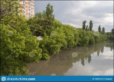 Qui a enregistré l'album "Live at Whisky a go-go" à Los Angeles ?