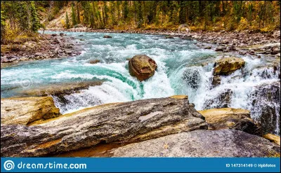 Quel groupe chante "Rivers of Babylon" ?