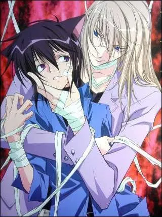 Mangas destins aux femmes adultes qui mettent en scne des romances sentimentales ou de fortes amitis entre deux hommes.