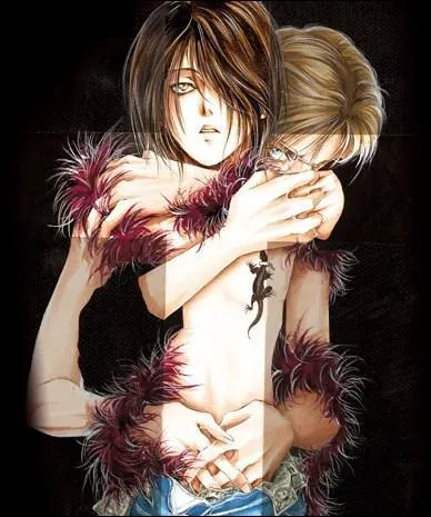 Mangas destins aux femmes adultes mettant en scne une romance sexuelle entre hommes. Il s'agit gnralement de relations homosexuelles idalises, avec des personnages masculins souvent effmins.