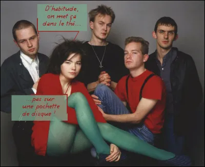 De là à dire que ce fut une tempête dans une théière... Quel était le nom de ce groupe (avec Björk), en français ?