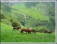 Pour quoi Monty Roberts est-il connu ?