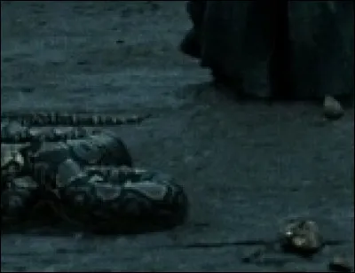 Dans quel HP y a-t-il cette scène ?