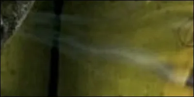 Dans quel HP y a-t-il cette scène ?