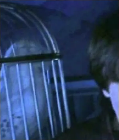 Dans quel HP y a-t-il cette scène ?