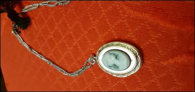 Complétez : ... un collier.