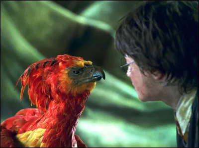 Qu'apporte Fumseck à Harry dans la chambre des secrets ?