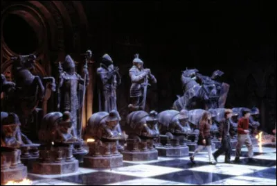De quelle pièce de l'échiquier de McGonagall Hermione prend-elle la place ?