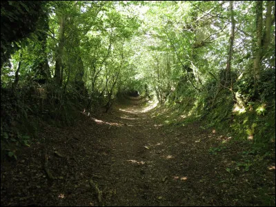 Comment appelle-t-on un chemin ou sentier dans le langage courant situé entre deux talus en général plantés d'arbres formant des haies ?