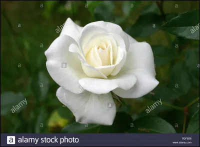 Quelle est cette couleur ?