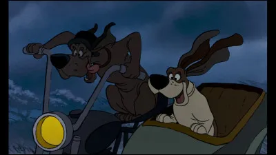 Comment s'appellent le chef des deux chiens ?