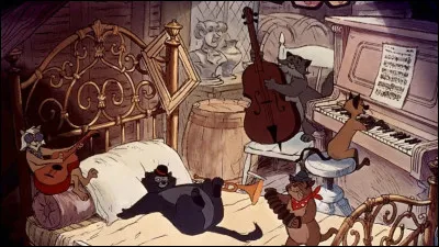 Comment s'appellent le groupe de chats ?