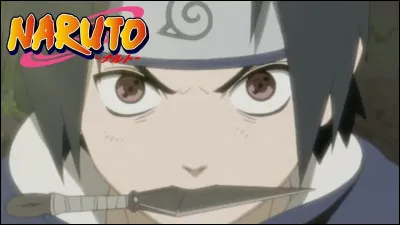 Sasuke est un membre du clan Hyûga.