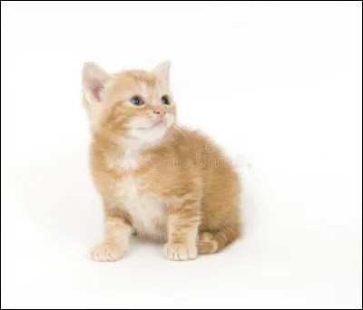 Qui sont ses parents ?