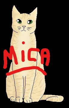 Quiz Erin hunter