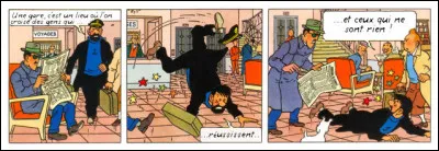 La chute revient bien-sûr au Capitaine, empreint de la pensée d'un finansophe* champêtre (quoi qu'il ne s'agisse pas non plus de n'importe quelle prairie)...