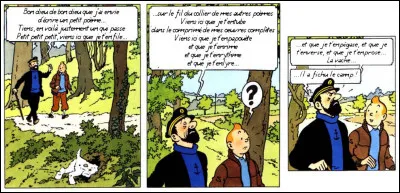 Le capitaine Haddock non plus n'est pas hermétique à la poésie, mais dans un autre style. Celui de ...