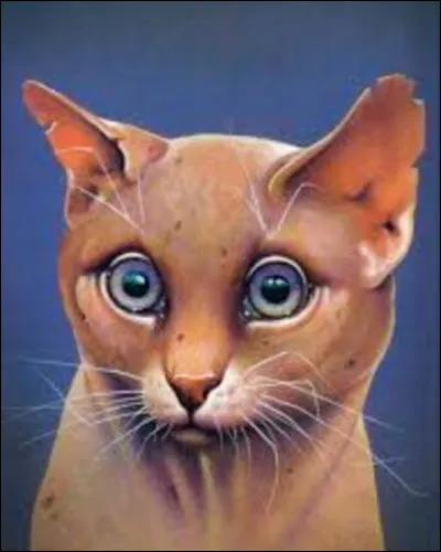 Qui révèle la prophétie des Trois à Étoile de Feu ?