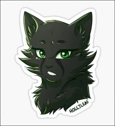 Quel est le pouvoir de Feuille de Houx ?