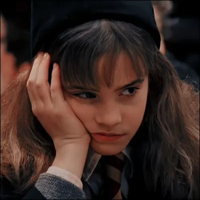 Qui a sauvé Hermione du troll en 1re année ?