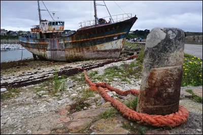 Celle des harengs est plus grande que celle des canards, c'est la...