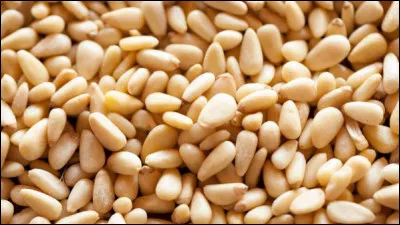 Tissu de veste réversible, c'est l'...