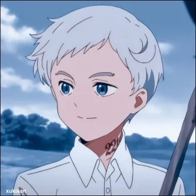 Quel est le score de Norman lors de chaque test de l'orphelinat ?