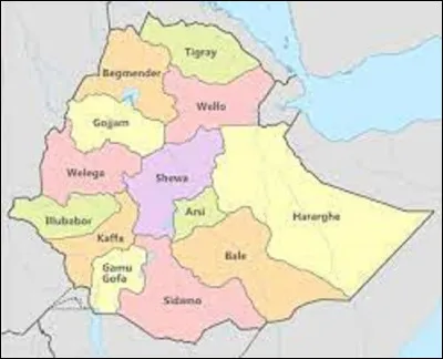 3 octobre 1935 : 
Quel pays de la Corne de l'Afrique, qui fut un empire jusqu'en 1974, Benito Mussolini envahit-il ?