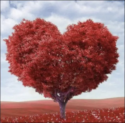 Avez-vous déjà aimé quelquun ?