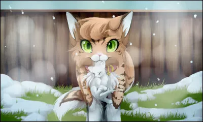 Acceptes-tu les chats domestiques, solitaires ou errants dans ton clan ?