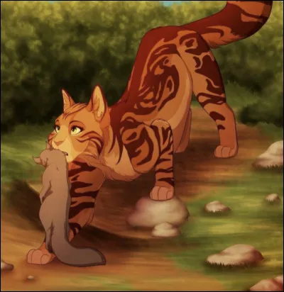 Quelle qualité veux-tu avoir ?