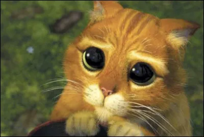 On arrive à la fin du test... quen as-tu pensé ?